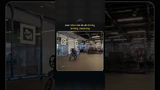 Meet the Ultra Mobile Vehicle (UMV)