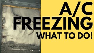 What to do when air conditioner freezes up: Air conditioner tips for summer