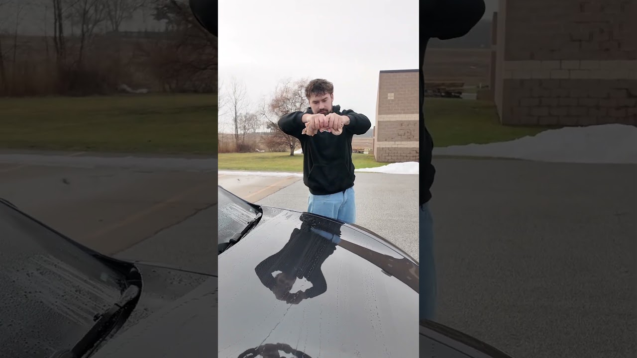 Shammy vs Blackline drying towel #blackline #detailing