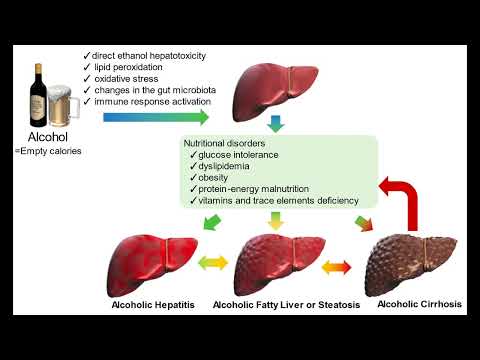 HAPPY NATIONAL DAIQUIRI DAY / SHORT HISTORY OF DAIQUIRI / WHAT IS HEALTH BENEFIT OF DAIGUIRI