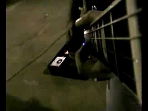 Pocilga video