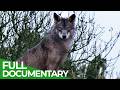 Wild Iberia Episode 4 Winter Free Documentary Nature