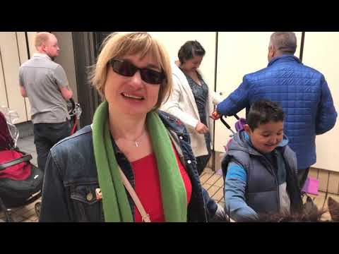 Partially sighted Helena Hird on Metro with Digby the guide horse