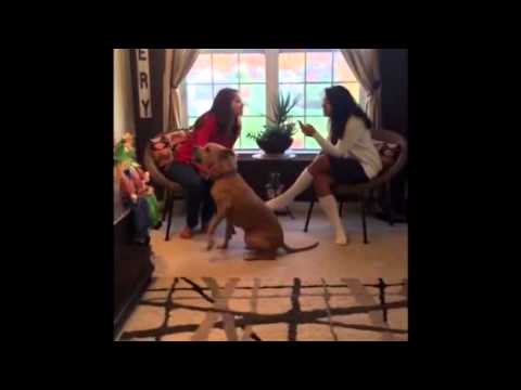 Alanna and Jess's 9 Circles of Hell