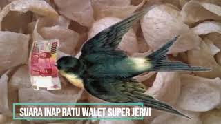 Download lagu 10 JAM !! SUARA INAP RATU WALET JERNI mp3