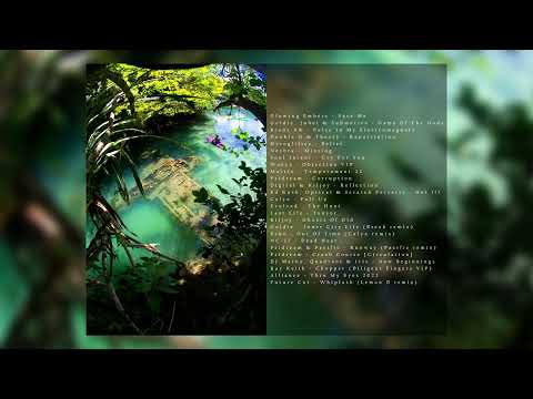 Psidream - NAB DNB Nest Mix Series 7 [04/08/2023] #dnb #jungle