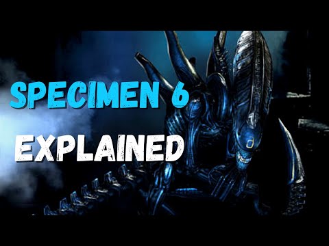 Specimen 6 - Explained (AVP 2010 / Aliens vs Predator)