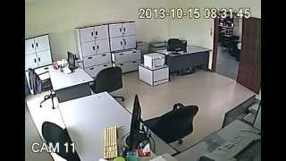 preview picture of video 'Eartquake conchology office accounting area cam'