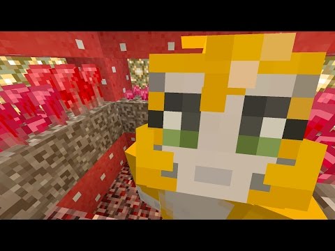 stampylonghead - Minecraft Xbox - Cave Den - Wartdrobe (69)