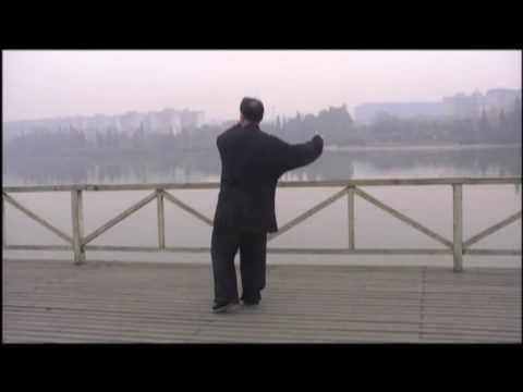 Tai Chi form Yang 115-Liu Xin Lu