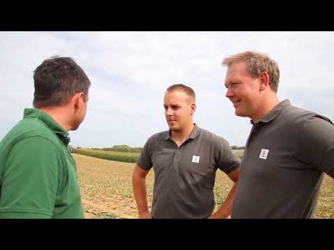 KWS Mais-Blog 2019 - Teil 13 (LU-Aktion)