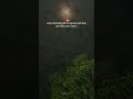 O Kamleya Marathi Quotes Whatsapp Status Shorts Youtubeshorts Shortsfeed Sad Viralshorts
