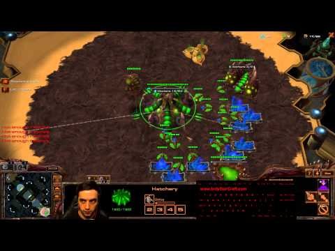 Jak łatwo wygrać Zergiem na Zerga