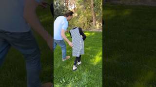 [問卦] 為啥不直接付錢給美國駐軍就好了？