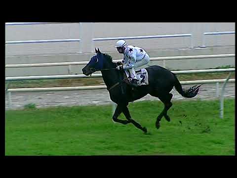 Napoli Galoppo 22/11/2021 - 3ª corsa