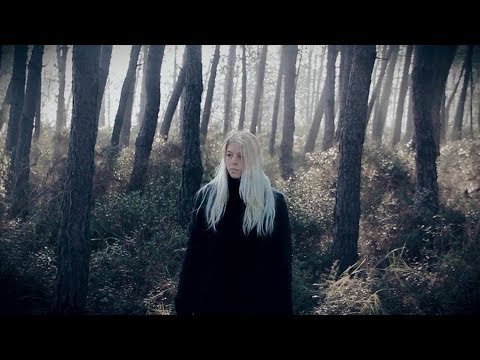 DEADLY CARNAGE – DIVIDE (Official Video 2018) – [Post-Black]
