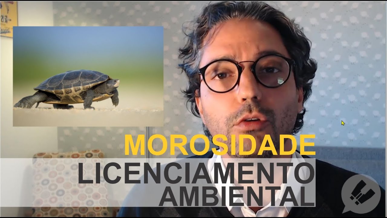 O licenciamento ambiental é moroso?