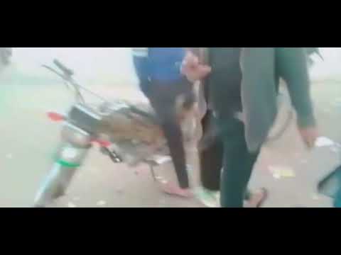 sajnali 🥰😍 ghszhs#cat #myfirstvlog sighs to Dekho