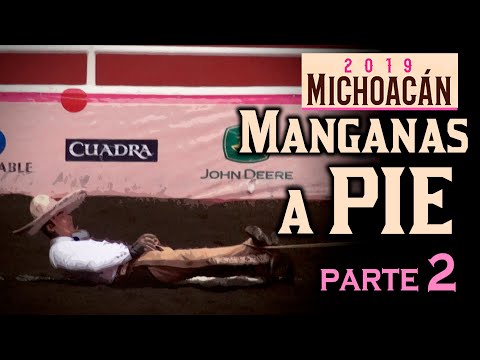 MANGANESE ON FOOT part 2 - Congreso Morelia 2019