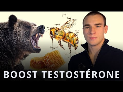 Comment le MIEL peut booster ta testostérone ?