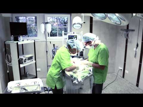 Spezial OP Tierarztpraxis Schmitz Beelen, Warendorf