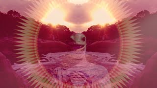 Boards of Canada - One Very Important Thought