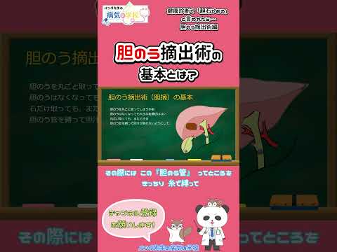 胆嚢手術 – 手術の概要、回復、リスク、ケア