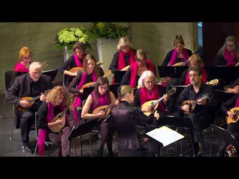 Orchestra mandolinistica di Lugano - Edwar Elgar, Chanson de Matin op 15 n 2