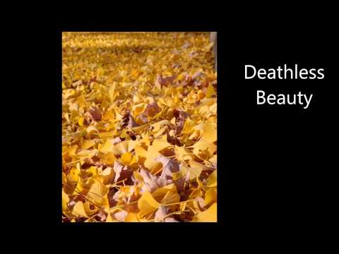 Feast of Asma Meditation II