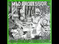Mad Professor - The Drum Shot