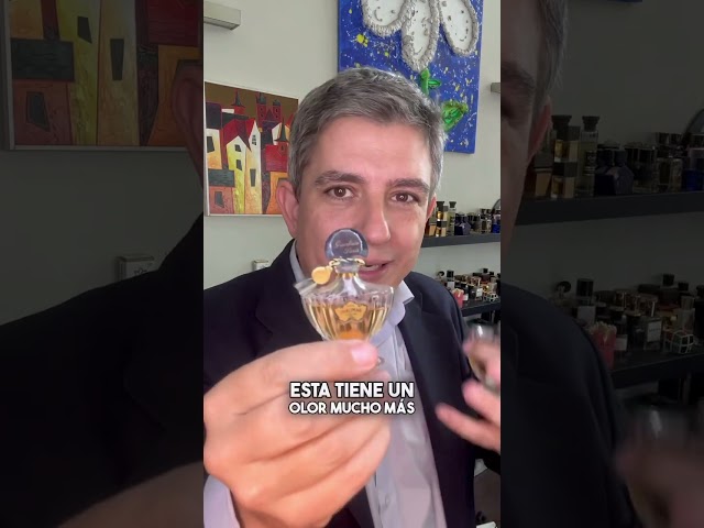 Vídeo relacionado con Guerlain Shalimar 90 ml - eau de parfum (Mujeres, Bergamota, Jasmine, Rosa)