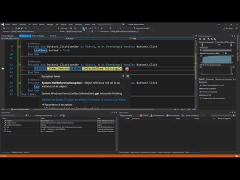 1 Visual Basic L IDE