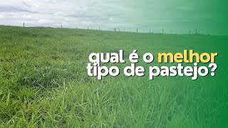 TIPOS DE PASTEJO - qual é o melhor?