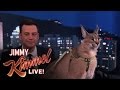 Dave Salmoni Scares Jimmy Kimmel with Wild Animals