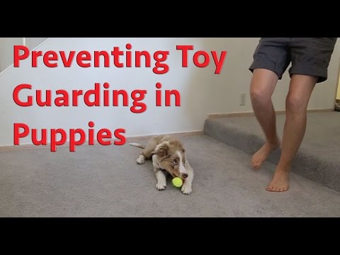 STOP UNWANTED behaviors with BACK UP