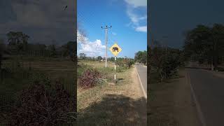 Download lagu alintama giya gamak🏃🏃🏃🏃 mp3