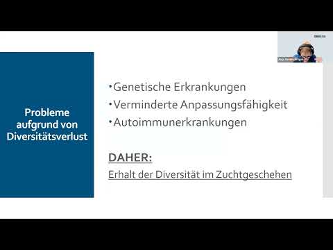 Diversität und Genetische Vielfalt in der Hundezucht