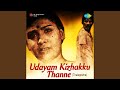 Madamilaki Thullunna