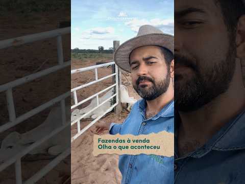 Fomos filmar umas fazendas no Tocantins para vender, olha o que aconteceu