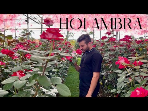 VEM CONHECER A CIDADE DAS FLORES - Eduardo Wizard