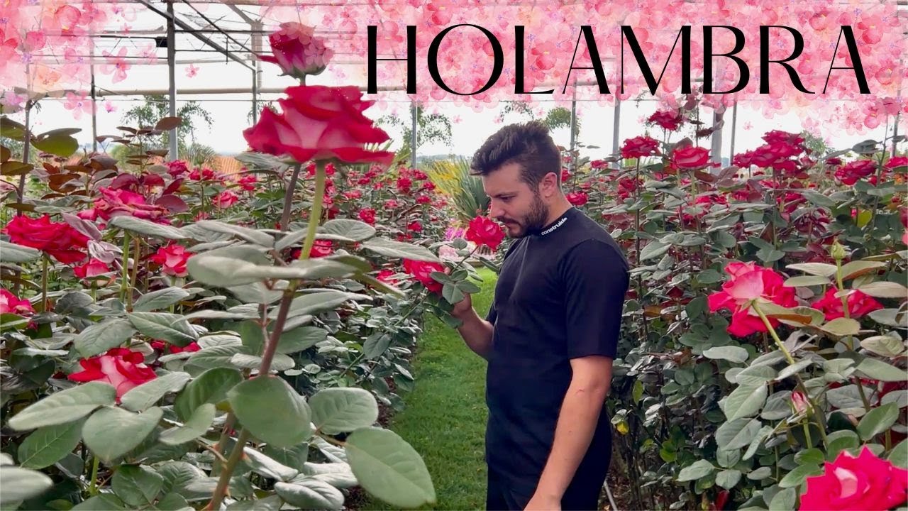 VEM CONHECER A CIDADE DAS FLORES - Eduardo Wizard