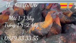 Thứ hai 16/06