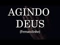 FERNANDINHO Agindo Deus LYRICS VIDEO