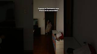 La luz nos protege 🤣🤣🤣 #biancaoss #comedia #halloween