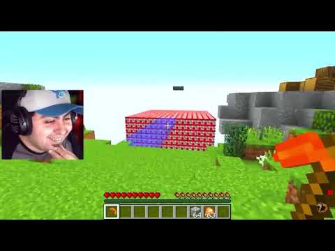 Il FAMILY FRIENDLY DI ALEX