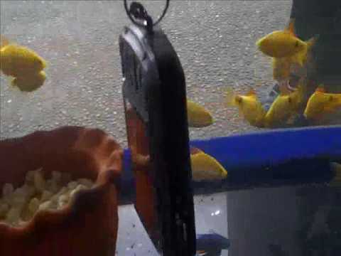 HardwareZone Philippines: GE G3WP Waterproof Digital Camera