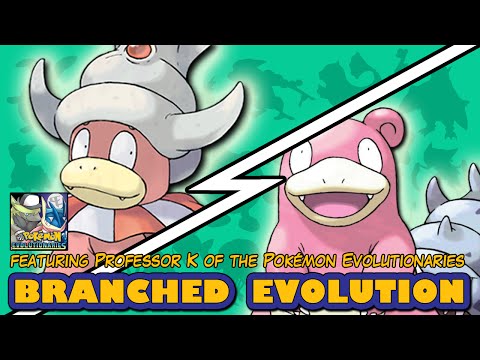 Slowbro vs Slowking | Pokémon Branched Evolution (Featuring Professor K)