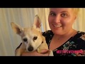 Random Barney Video