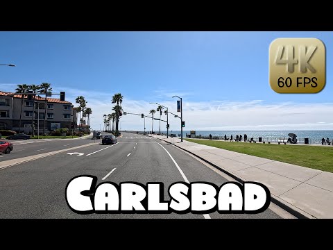 Escort Carlsbad Ca
