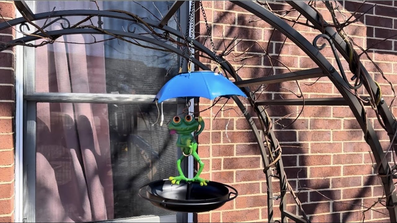 Solar Bird Feeders for Outdoors Hanging Garden Decor - Metal Frog Outdoor Figurine Solar Lights Humm